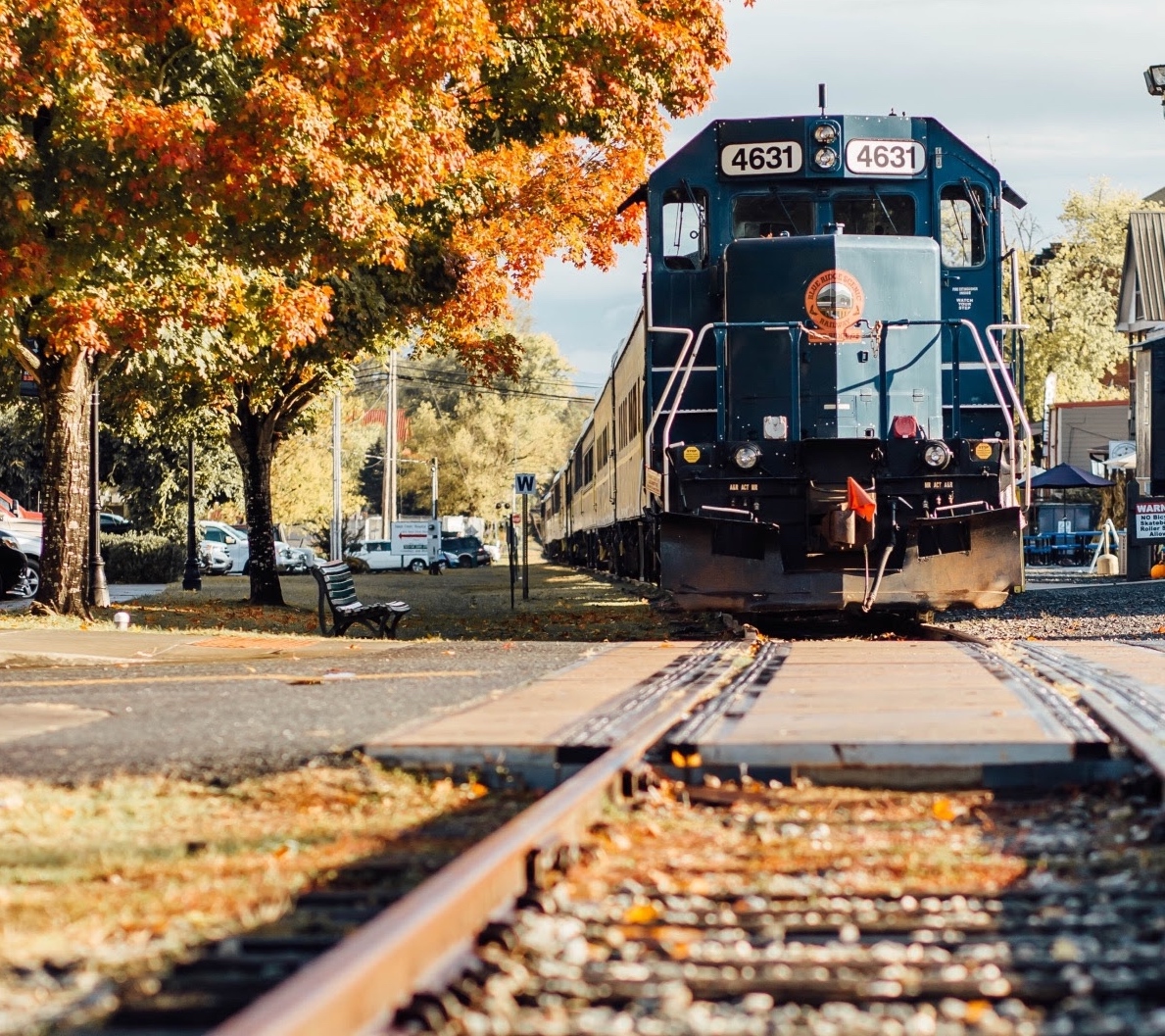 All Aboard The Blue Ridge Georgia Train Ride!