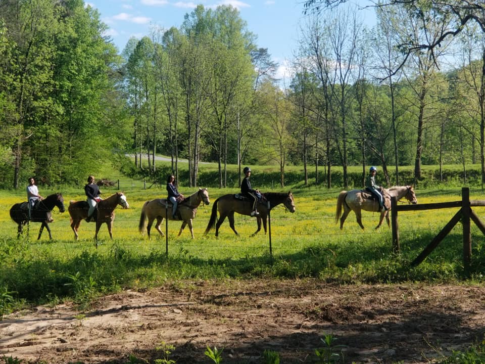 Blanche Manor Horseback Riding Georgia stables