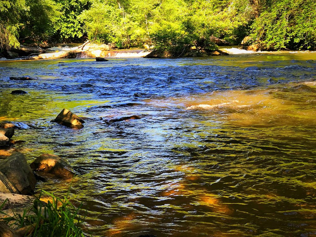 Ellijay Tubing