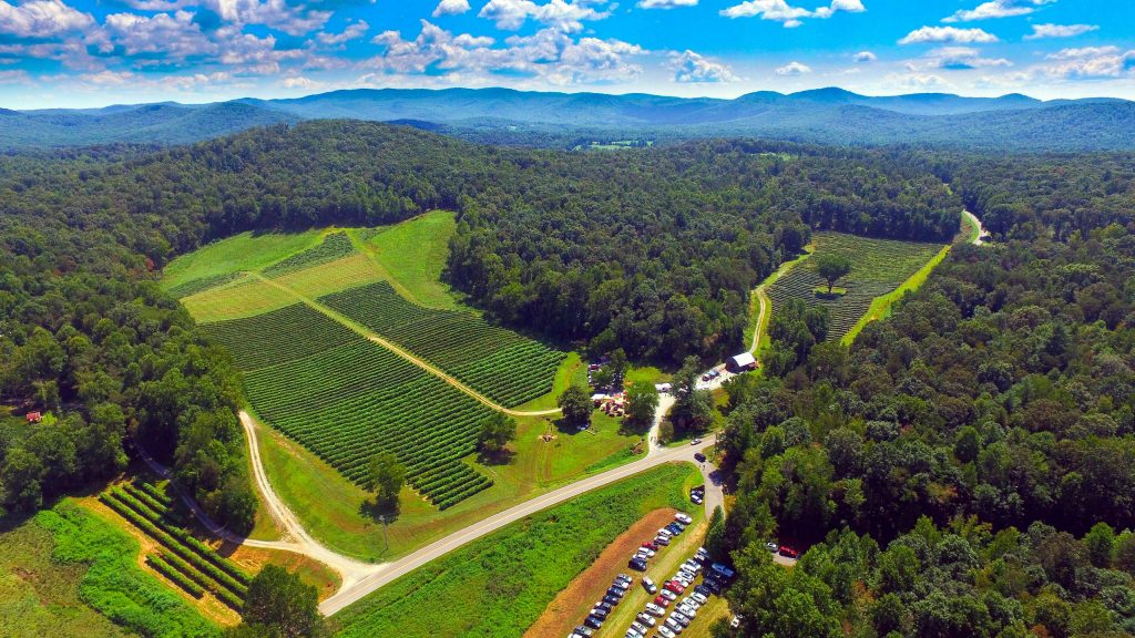 Cartecay Vineyards